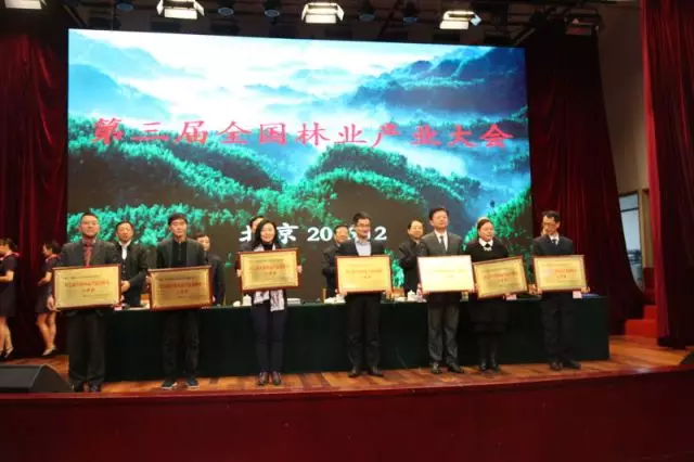 第三屆全國(guó)林業(yè)產(chǎn)業(yè)大會(huì)在京召開,大亞集團(tuán)再獲多項(xiàng)殊榮